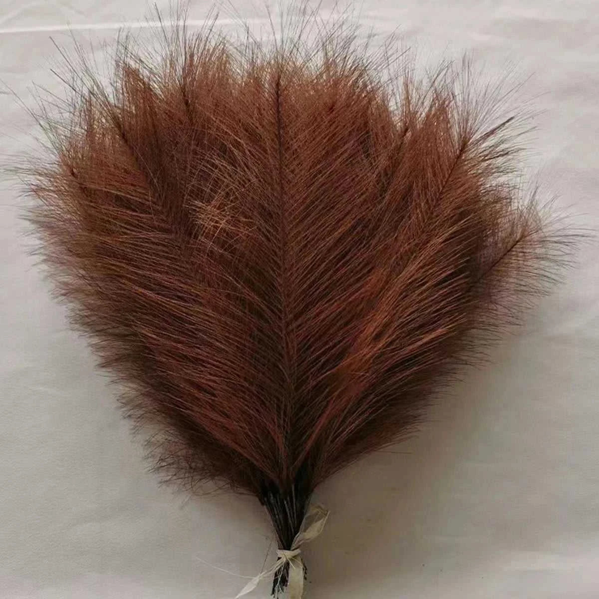 Mimosa Artificial Pampas Grass 42cm - 10pcs Boho Decor 14:202884863#color 1 Artificial Plants