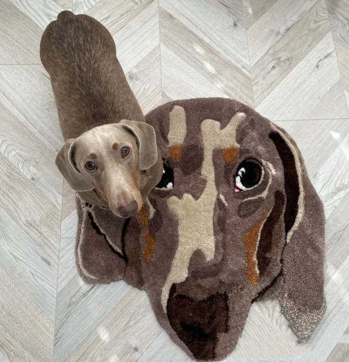 Close-up of Dachshund face print rug with a real Dachshund dog sitting on top