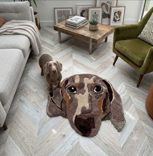 Dachshund animal print rug styled in a modern living room with a real Dachshund dog