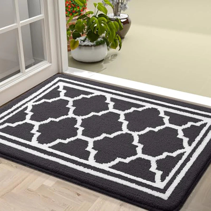 Dark Brown Retika absorbent entrance rug in modern hallway interior